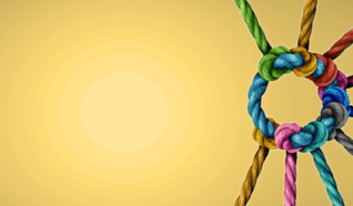 photo of multi-coloured rope all tied together on a yellow background