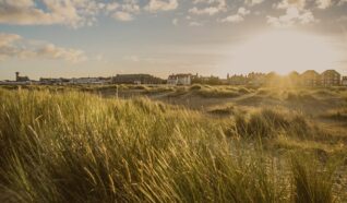 image of grasslands with houses in the distance