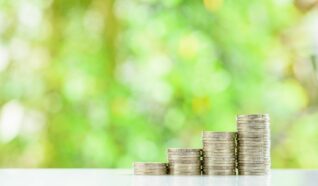 photo of a pile of pound coins stacked in various heights against a green background