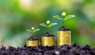 coins stacked in various height orders on soil with plants growing from the top of each pile